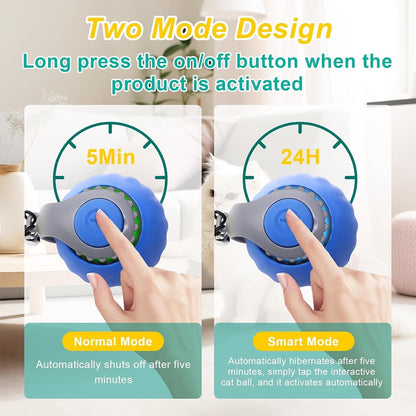 Electric Interactive Cat Toy Ball, Indoor Cat Play Ball