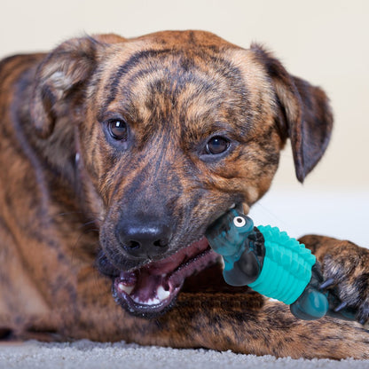 Dog Toys for Aggressive Chewers,Indestructible Dog Toys,Durable